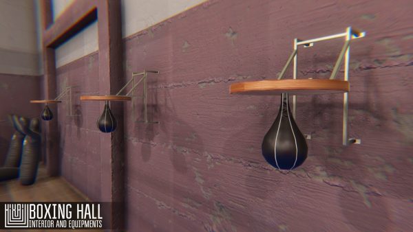 Boxing hall - interior and equipments