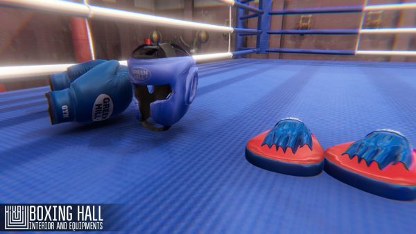 Boxing hall - interior and equipments