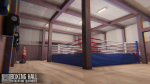 Boxing hall - interior and equipments