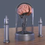 Brain in a jar