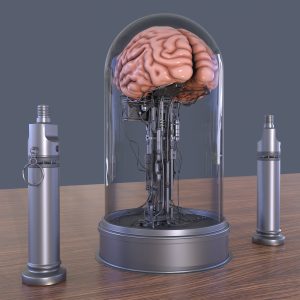 brain-in-a-jar-3d-model-0a2b93cfd1