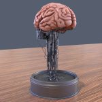 Brain in a jar