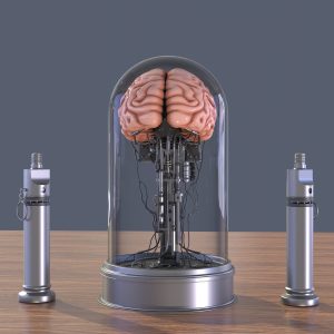 Brain in a jar