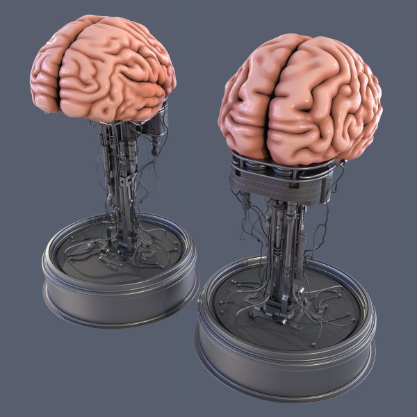 Brain in a jar