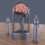 Brain in a jar