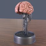 Brain in a jar