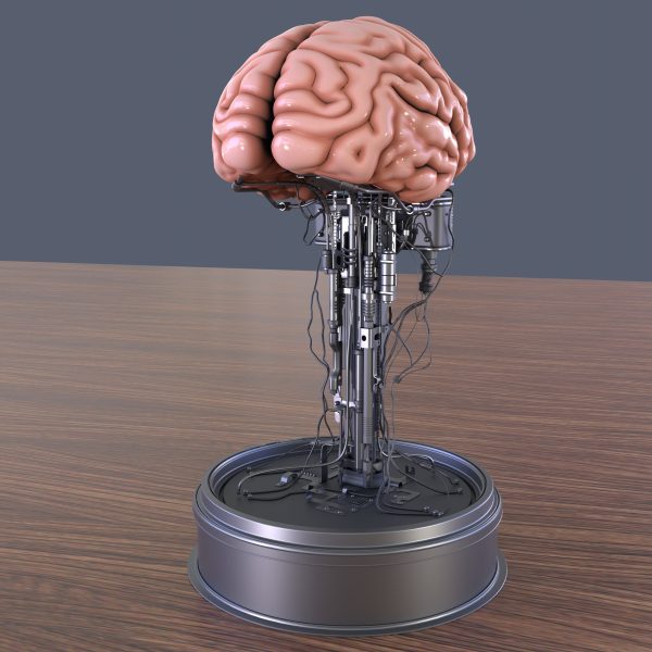 Brain in a jar