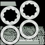 Brake disk with caliper