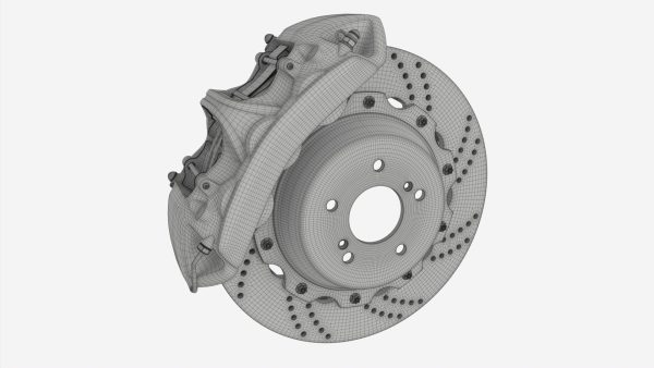 Brake disk with caliper