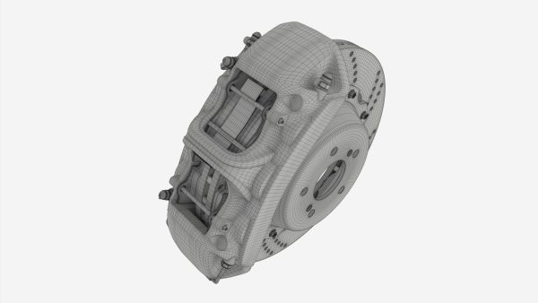 Brake disk with caliper