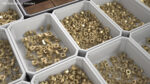 Brass Nuts Kit
