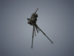Camera on the tripod