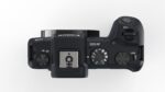 Canon EOS RP Mirrorless