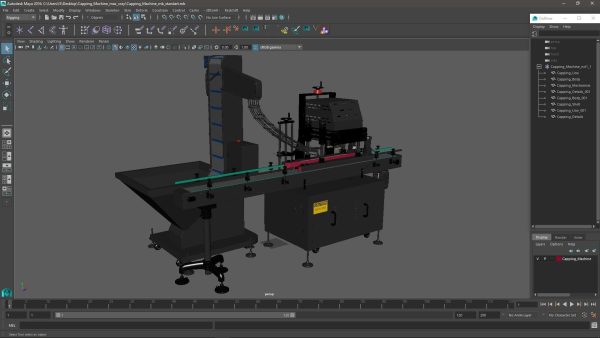 Capping Machine