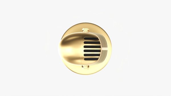Cardioid microphone 02
