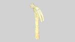Claw hammer