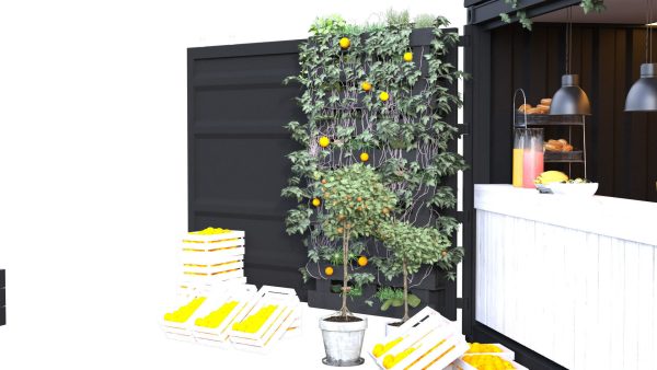 Container Juice Cafe