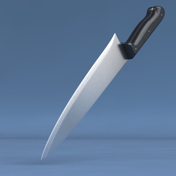 Cooks knife