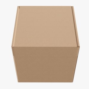 corrugated-cardboard-box-packaging-05-3d-model-max