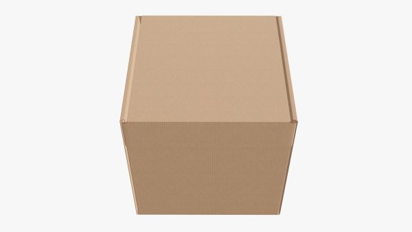 Corrugated cardboard box packaging 05