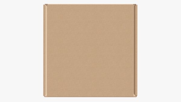 Corrugated cardboard box packaging 05