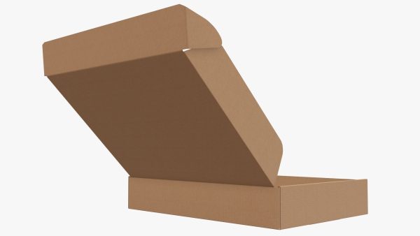 Corrugated cardboard box packaging 07