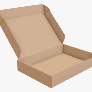 Corrugated cardboard box packaging 07