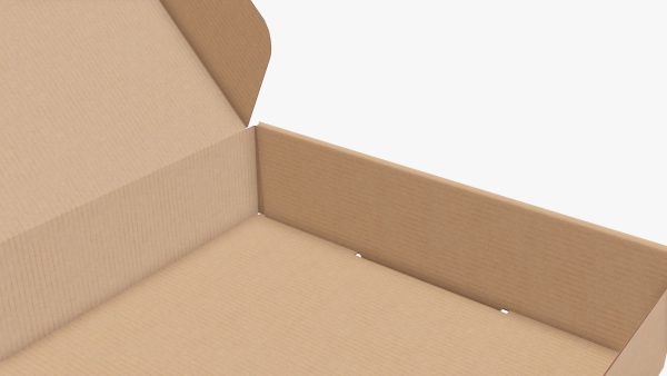 Corrugated cardboard box packaging 07