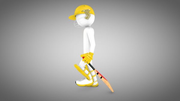 Cricket Rigged batsman and bowler