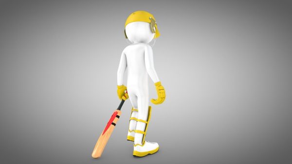 Cricket Rigged batsman and bowler