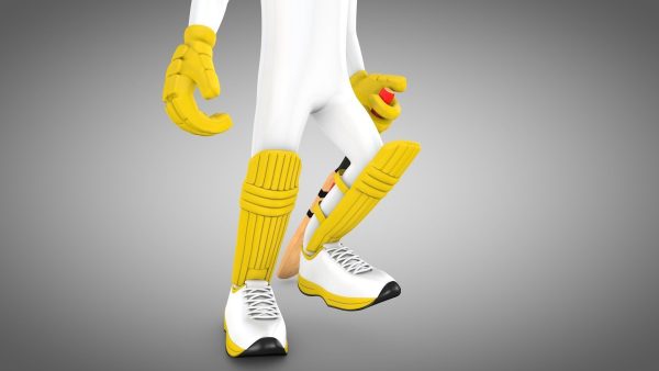 Cricket Rigged batsman and bowler