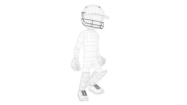 Cricket Rigged batsman and bowler