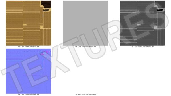 Cross and Longitudinal Section of Wood