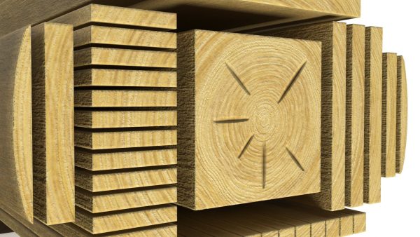 Cross and Longitudinal Section of Wood