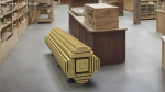 Cross and Longitudinal Section of Wood