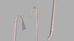 Crowbar hook