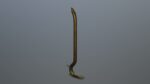 Crowbar hook