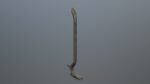 Crowbar hook