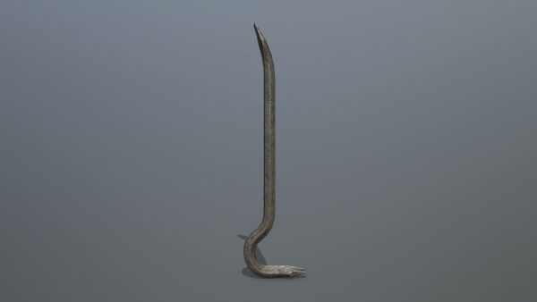 Crowbar hook