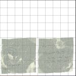 Crumpled paper