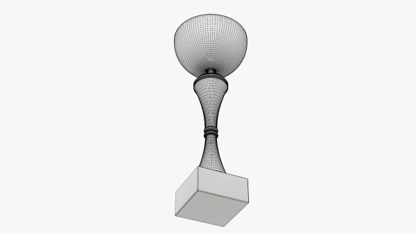 Cup trophy 01