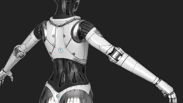 Cyborg Robot  Androgyne RIGGED
