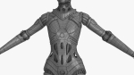 Cyborg Robot  Androgyne RIGGED