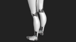 Cyborg Robot  Androgyne RIGGED