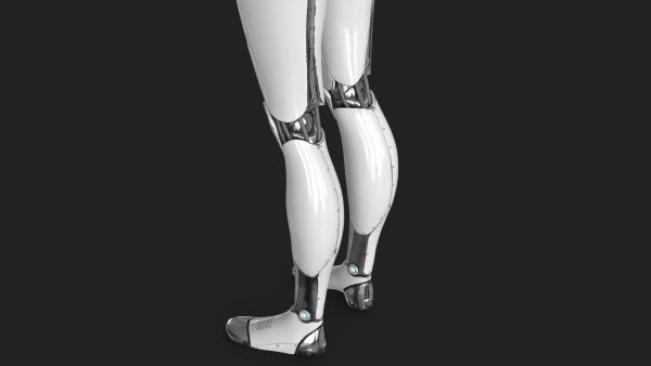 Cyborg Robot  Androgyne RIGGED