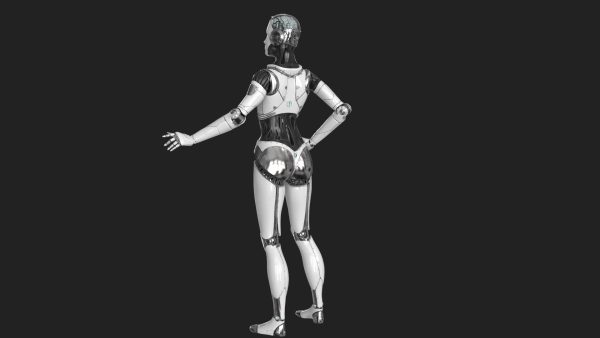 Cyborg Robot  Androgyne RIGGED