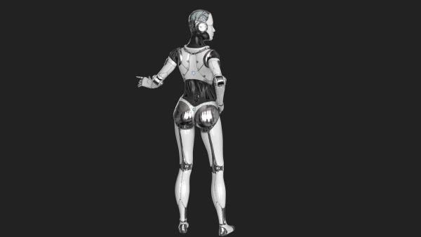 Cyborg Robot  Androgyne RIGGED