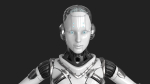Cyborg Robot  Androgyne RIGGED