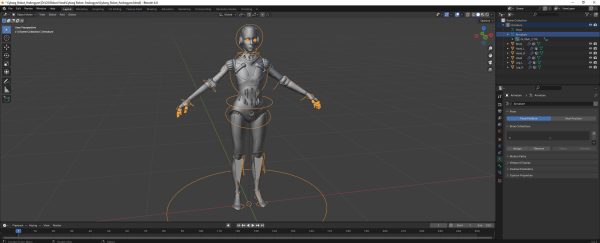 Cyborg Robot  Androgyne RIGGED