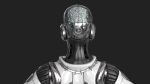 Cyborg Robot  Androgyne RIGGED